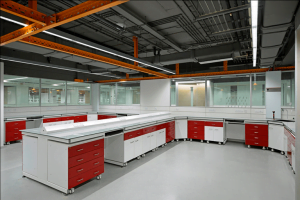 Flexis Lab Furniture - C frame series - LabGuard