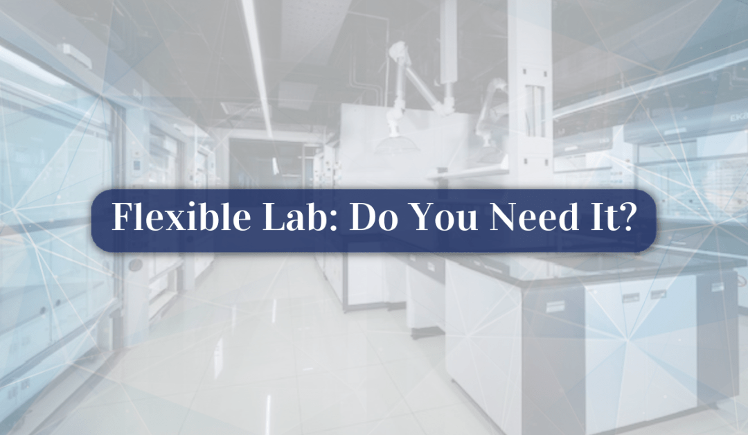 Flexible Lab: Do You Need It?