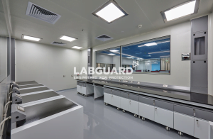 LabGuard's Product Catalogue: Fume Hoods, Laboratory Furniture & Safety ...