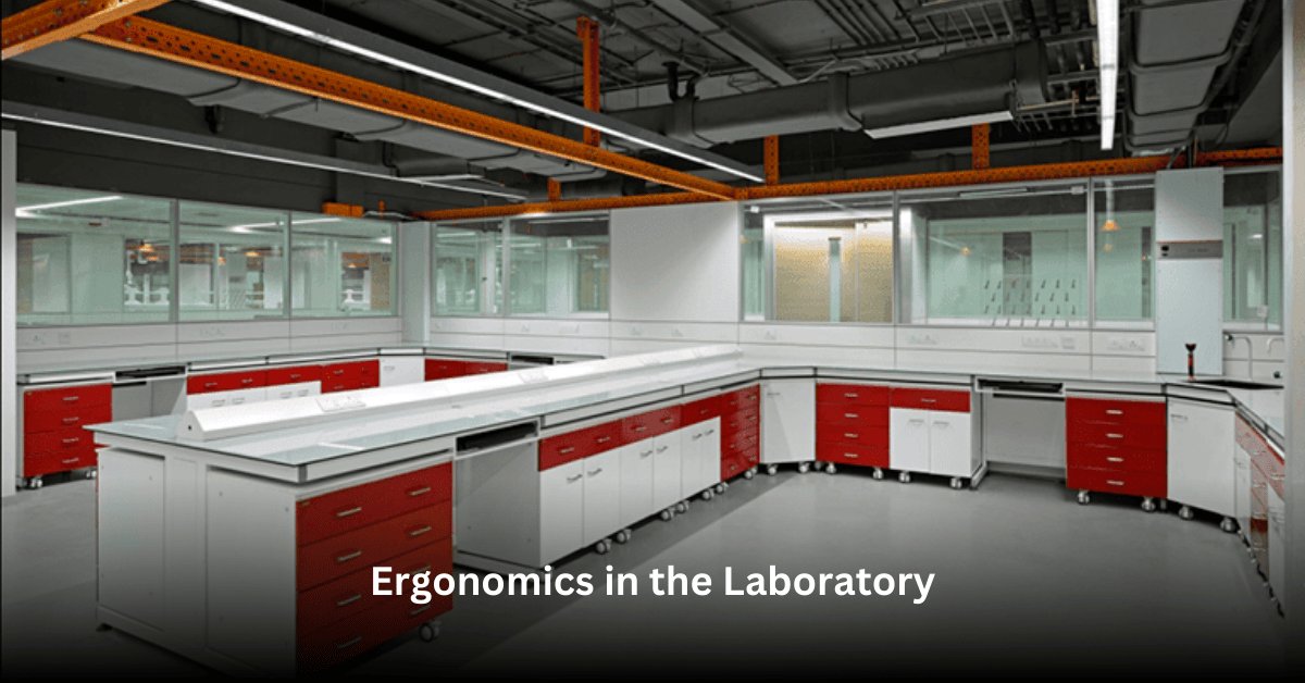 Ergonomics in the Laboratory: Boosting Productivity Through Design